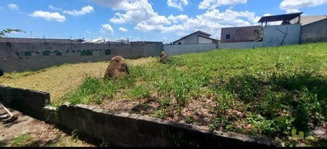 land_lot em Rua Bento Teixeira, Loteamento Villa Branca - Jacareí - SP