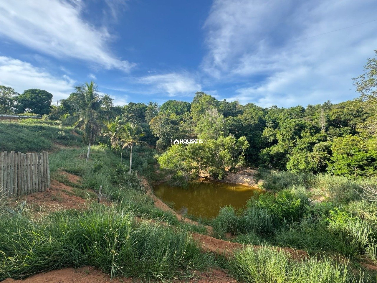 WhatsApp Image 2025-03-31 at 17.00