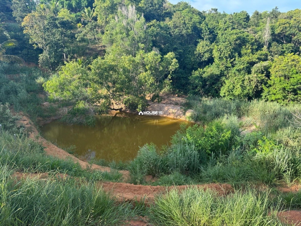 WhatsApp Image 2025-03-31 at 17.00