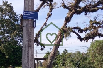 agricultural em Avenida do Lami, Boa Vista do Sul - Porto Alegre - RS