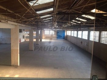 industrial em Coronel Mário de Azevedo, Jardim Pereira Leite - São Paulo - SP