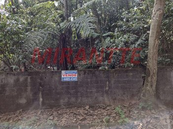 land_lot em Coronel Agostinho Da Fonseca, Tucuruvi - São Paulo - SP
