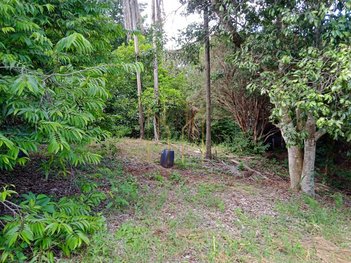 agricultural em Área Rural, Área Rural de Uberlândia - Uberlândia - MG