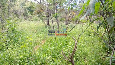 land_lot em Rua do Bosque, Vivendas Santa Mônica I - Igarapé - MG
