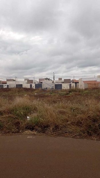 land_lot em Rua José de Castro, Terrazul BA - Pirassununga - SP