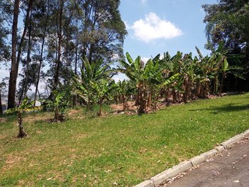 land_lot em Avenida Ceci, Tamboré - Barueri - SP