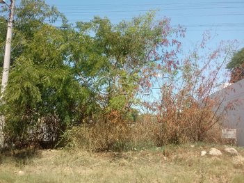 land_lot em General Osmar Paixao, São Judas - Bagé - RS