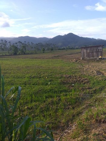 commercial_building em Rua Três Riachos, Areias de Cima (Guaporanga) - Biguaçu - SC