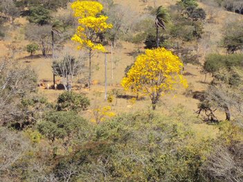 land_lot em Rua dos Engenhos, Serra do Cipó - Santana do Riacho - MG