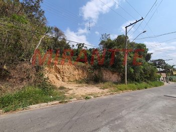 land_lot em Alameda Quaresmeira, Roseira - Mairiporã - SP