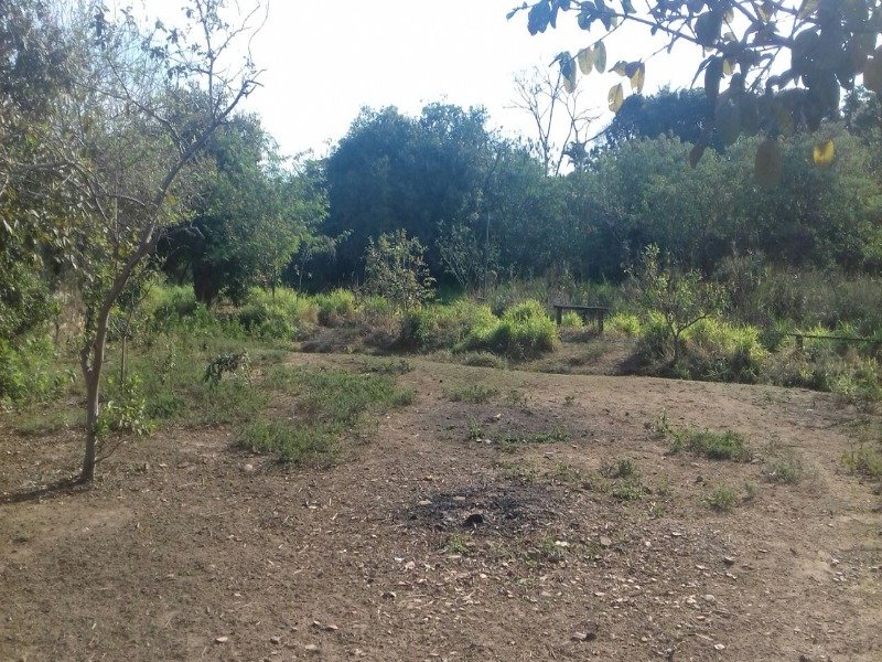 Foto 04