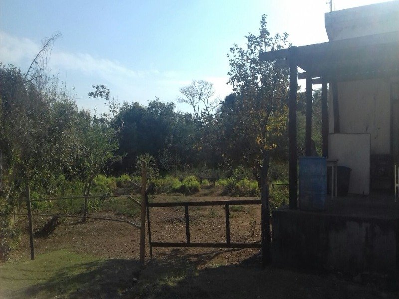 Foto 03