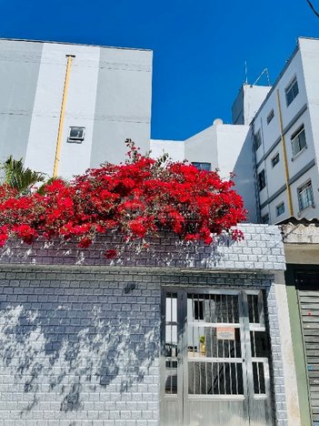 apartment em Rua Ângelo Bini, Conjunto Residencial José Bonifácio - São Paulo - SP