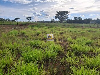 land_lot em Rua Francisco Antonio de Souza Gimenez, Setjardim Engenheiro Schmitt - São José do Rio Preto - SP
