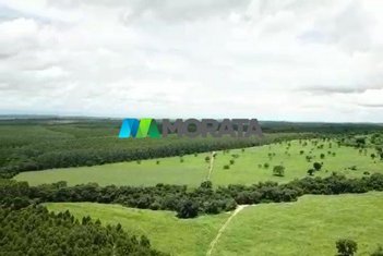 agricultural em Rua Domingos Viana, Centro - Curvelo - MG