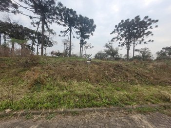 land_lot em General Alexandre Moss Simões dos Reis, São Ciro - Caxias do Sul - RS