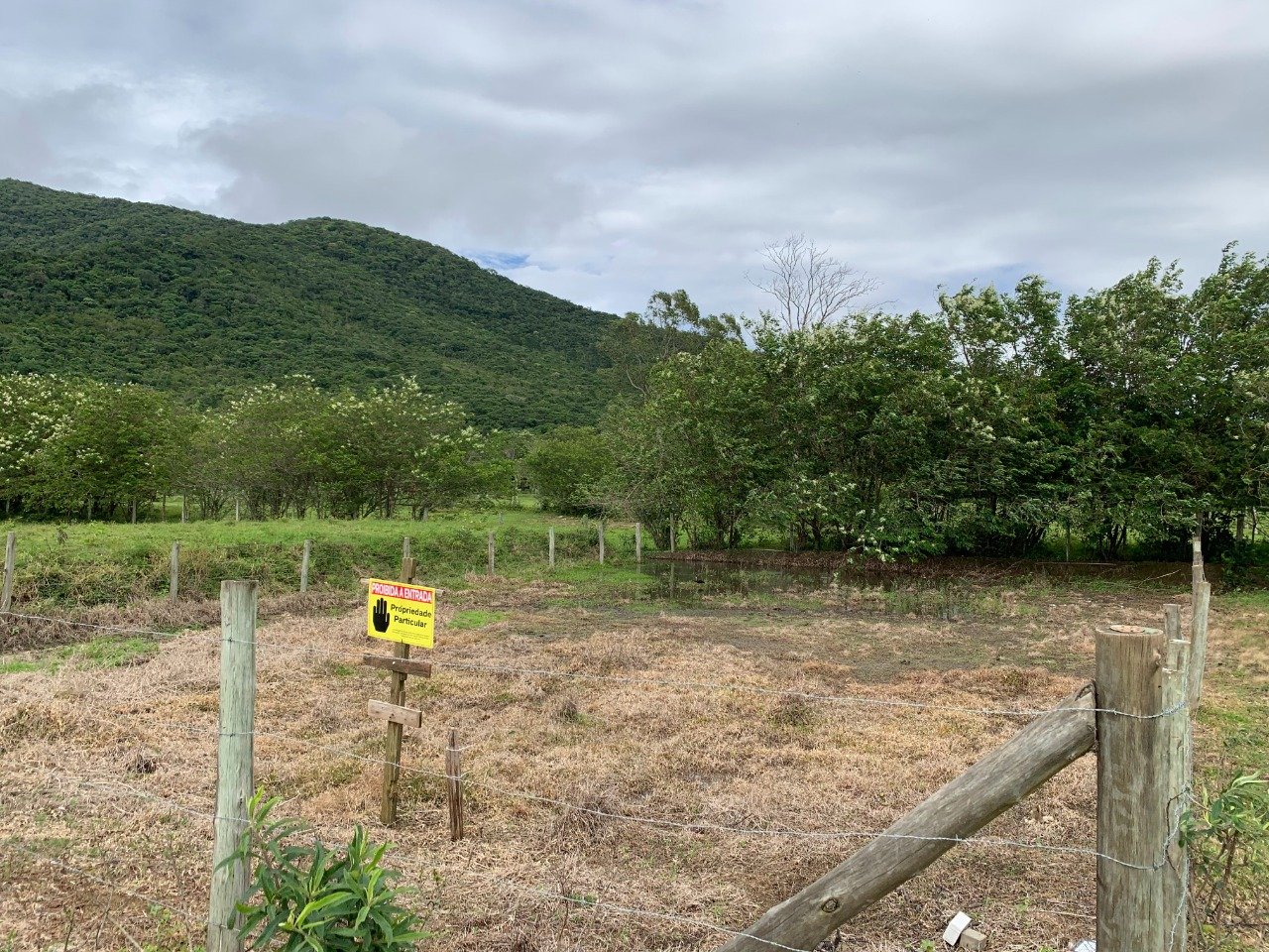 lote06