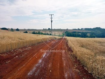 land_lot em Rodovia Mábio Gonçalves Palhano, Gleba Fazenda Palhano - Londrina - PR
