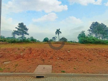 land_lot em Avenida Prefeito Orlando Oscar Baumhardt, Linha Santa Cruz - Santa Cruz do Sul - RS