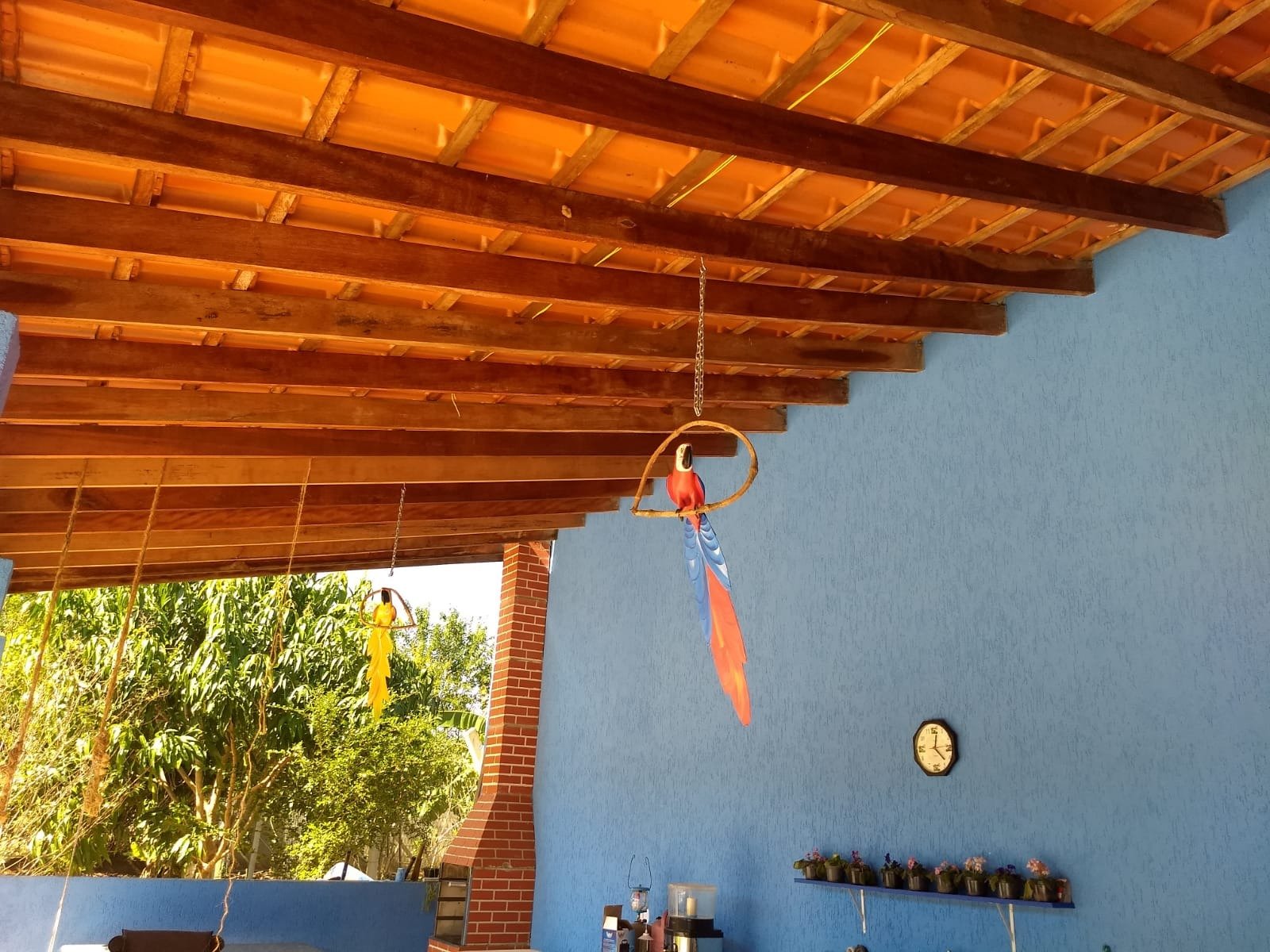 Foto 02