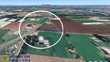 land_lot em Área Rural, Área Rural de Holambra - Holambra - SP