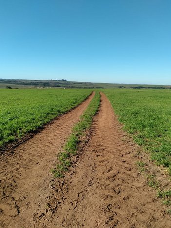agricultural em Avenida Assis Brasil, Centro - Alegrete - RS