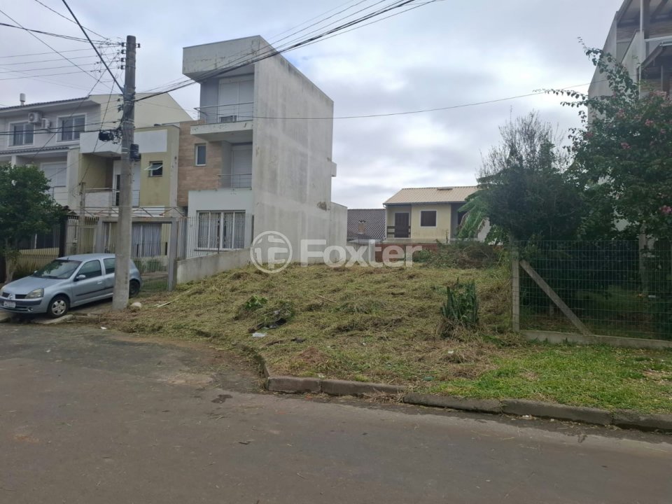 terreno limpo 1.jpg