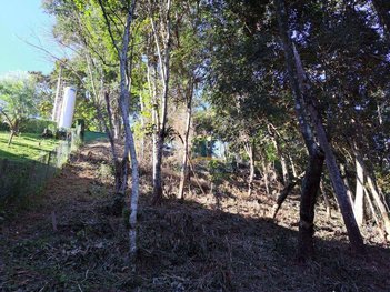 land_lot em Avenida Country Club, Nogueira - Petrópolis - RJ