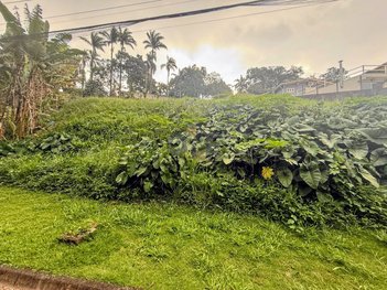 land_lot em Rua dos Álamos, Jardim Barbacena - Cotia - SP