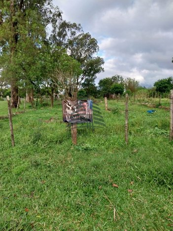 land_lot em Laurinda da Costa, Guabiroba - Santiago - RS