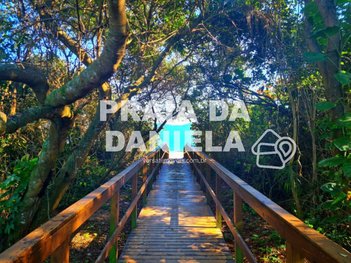 land_lot em Avenida das Paineiras, Daniela - Florianópolis - SC