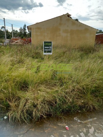 land_lot em Treze (vila Jacob Brod), Três Vendas - Pelotas - RS