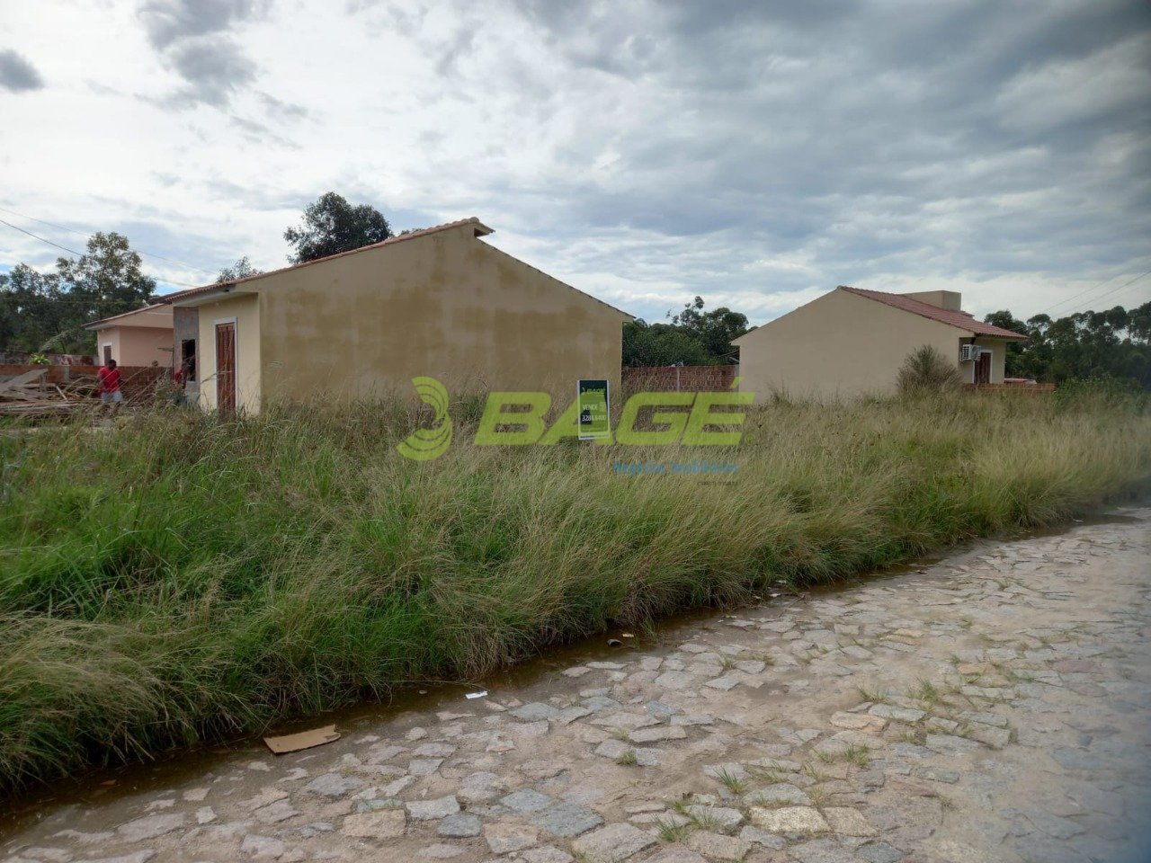 Lote 5
