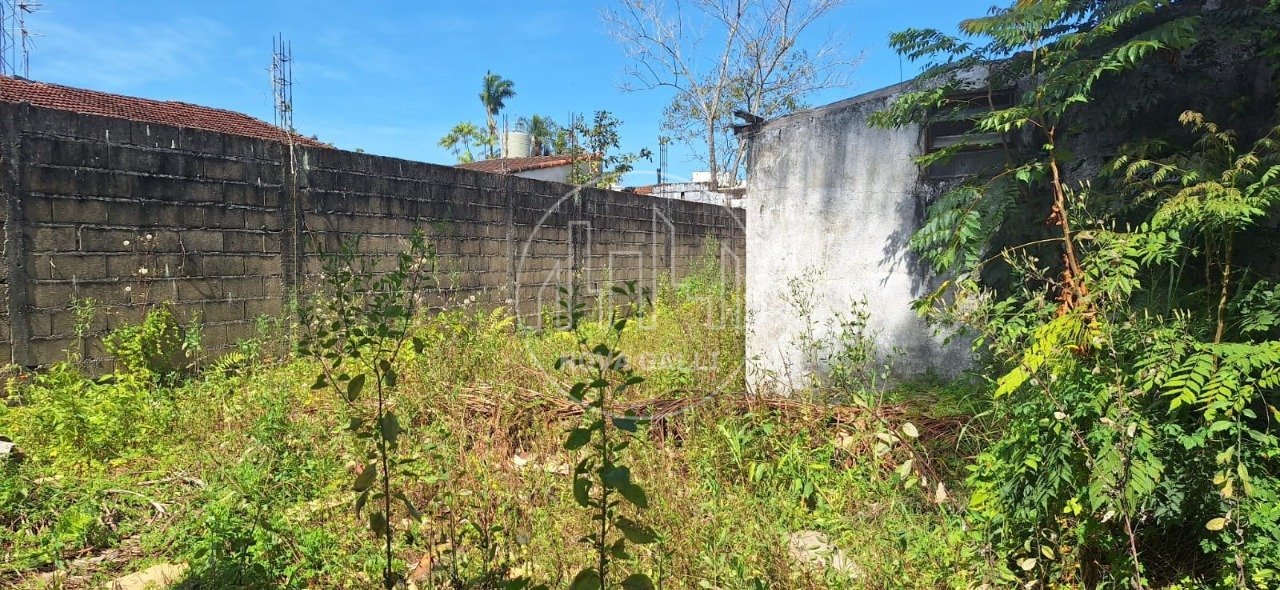 WhatsApp Image 2025-08-26 at 12.44