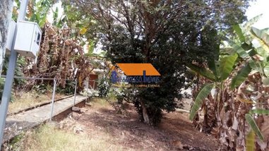 land_lot em Bolivar, União - Belo Horizonte - MG
