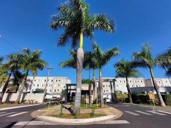 apartment em Avenida João Stella, Residencial Monsenhor Romeu Tortorelli - São Carlos - SP