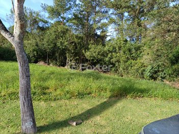 land_lot em Rodovia Tapir Rocha, São Lucas - Viamão - RS