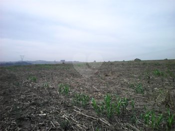 commercial_land_lot em Área Rural, Área Rural de Sumaré - Sumaré - SP