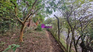 land_lot em Rua Bem-Te-Vi, Sorocamirim - Ibiúna - SP