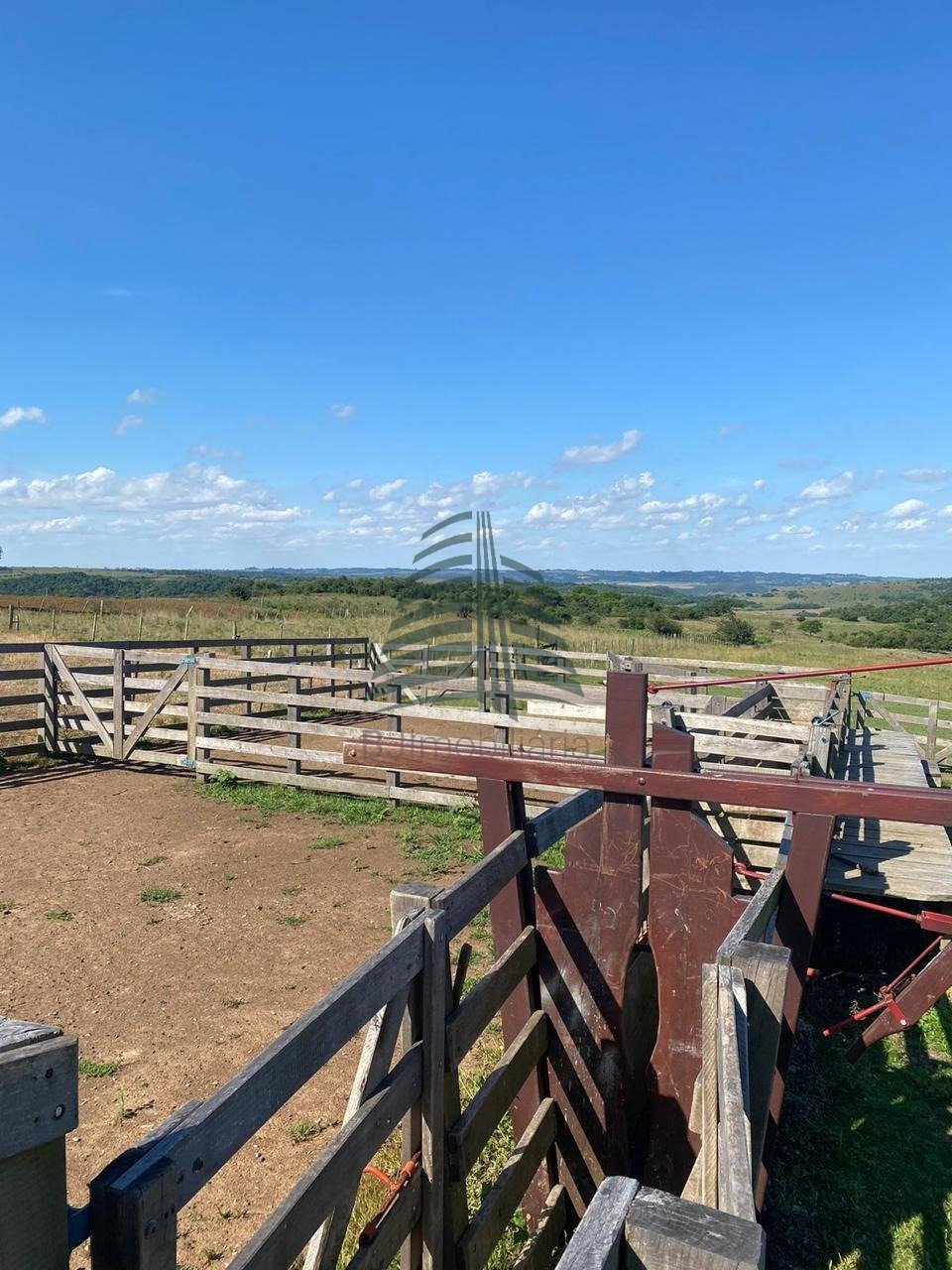 WhatsApp Image 2025-01-21 at 08.42