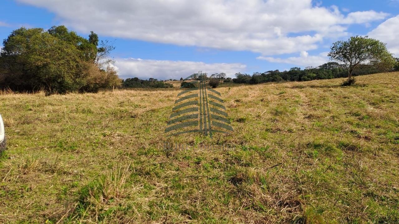 WhatsApp Image 2025-01-21 at 08.42