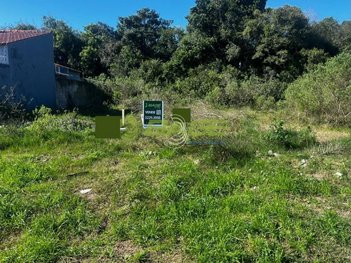 land_lot em Sete (Lot Res Amarilis), Laranjal - Pelotas - RS