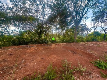 land_lot em Alameda dos Limões, Pomar da Lagoa - Lagoa Santa - MG