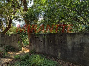 land_lot em Rua Coronel Agostinho da Fonseca, Tucuruvi - São Paulo - SP