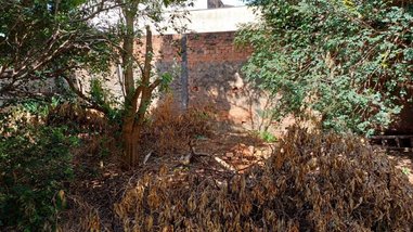 land_lot em Rua Tefé, Aparecida - Londrina - PR