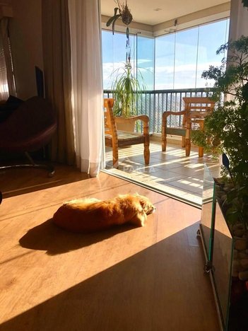 apartment em Rua Catarina Braida, Mooca - São Paulo - SP