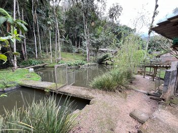 commercial_property em Rua Henrique Setter, Itoupava Central - Blumenau - SC
