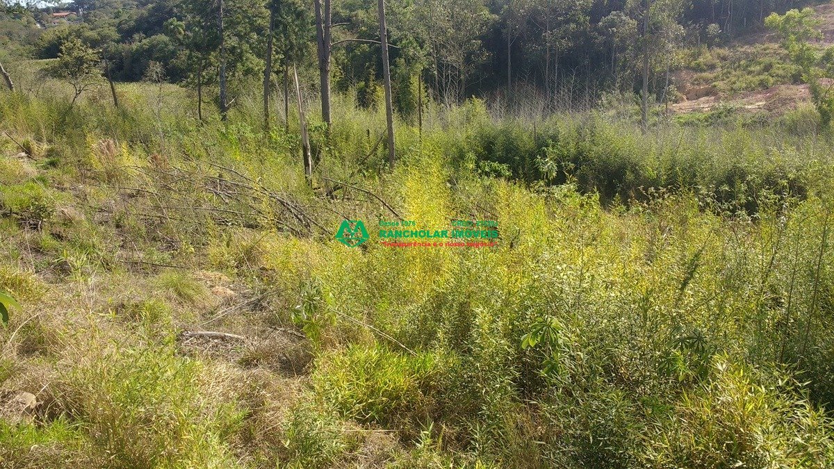 IMG_20180830_150819491