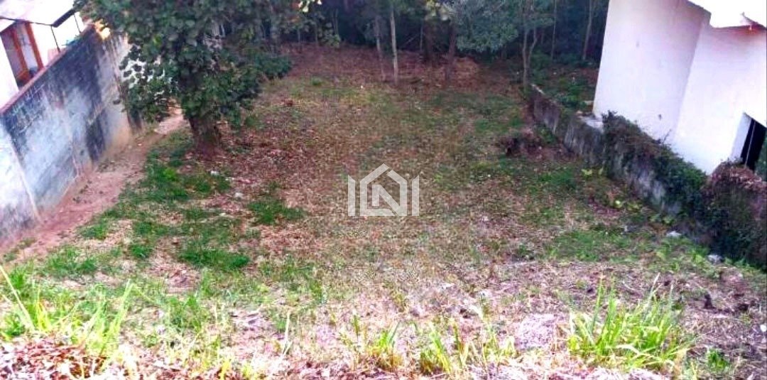 terreno 2