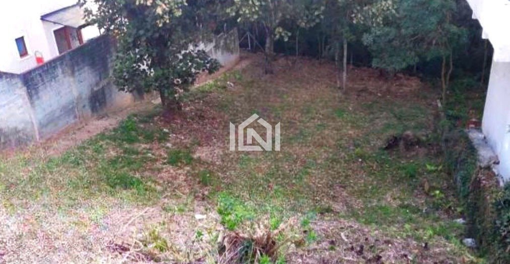 terreno3